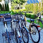 Lejlighed Saules Apartamentai Palanga